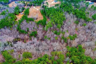 475 Rance Foster Rd, Bowdon, GA 30108 - Photo 50