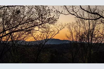 346 Logan Drive, Mineral Bluff, GA 30559 - Photo 4