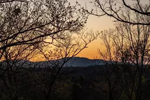 346 Logan Dr, Mineral Bluff, GA 30559 - Photo 4