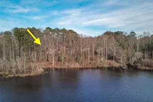 436 Forrest Ave, Fayetteville, GA 30214 - Photo 56