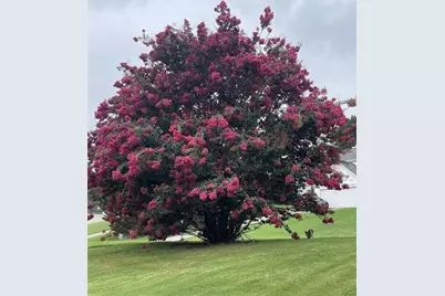 8440 River Bluff Place, Ball Ground, GA 30107 - Photo 78