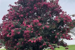 8440 River Bluff Pl, Ball Ground, GA 30107 - Photo 78