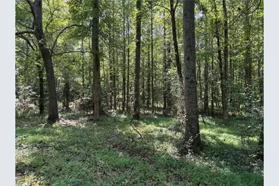 6485 Forsyth Drive, Cumming, GA 30028 - Photo 14