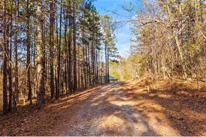 665 N Holcomb Drive, Martin, GA 30557 - Photo 4