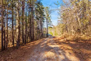 665 N Holcomb Dr, Martin, GA 30557 - Photo 4