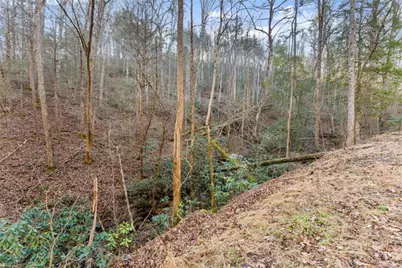 0 River View Lot 12 Trail, Dahlonega, GA 30533 - Photo 32