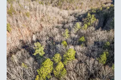 0 River View Lot 12 Trail, Dahlonega, GA 30533 - Photo 8