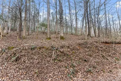 0 River View Lot 12 Trail, Dahlonega, GA 30533 - Photo 28