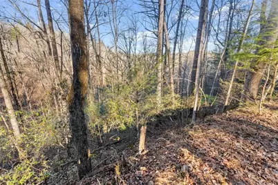 0 River View Lot 12 Trail, Dahlonega, GA 30533 - Photo 22