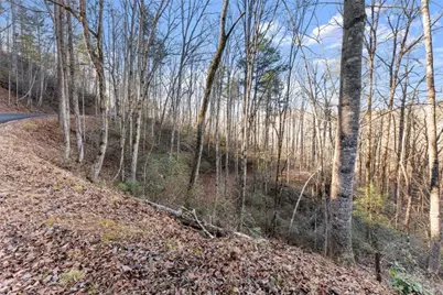 0 River View Lot 12 Trail, Dahlonega, GA 30533 - Photo 26