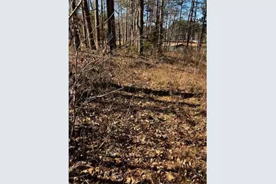 339 N Century Drive, Martin, GA 30557 - Photo 16