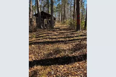 339 N Century Drive, Martin, GA 30557 - Photo 12