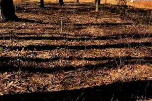 339 N Century Dr, Martin, GA 30557 - Photo 1