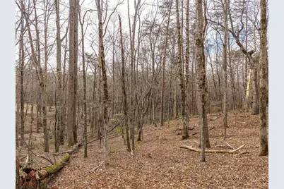 Lt 167 Henderson Mountain Road, Jasper, GA 30143 - Photo 4