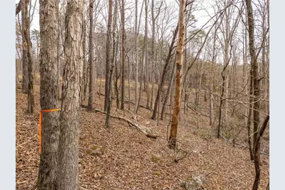 Lt 167 Henderson Mountain Road, Jasper, GA 30143 - Photo 6