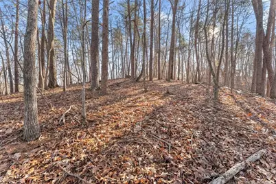 0 Golden Lot 3 Avenue, Dahlonega, GA 30533 - Photo 14