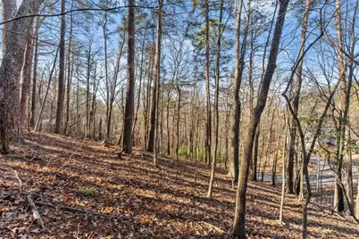 0 Golden Lot 4 Avenue, Dahlonega, GA 30533 - Photo 16