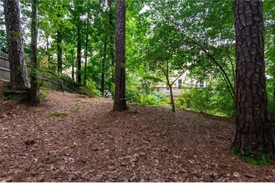 3679 E Bay Street, Duluth, GA 30096 - Photo 40