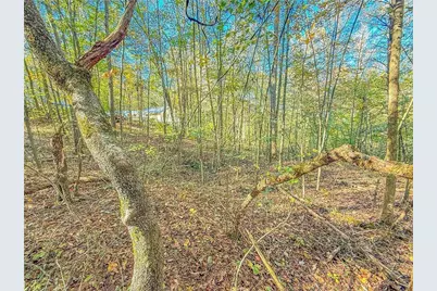 0 Eagle Claw Court, Martin, GA 30557 - Photo 6