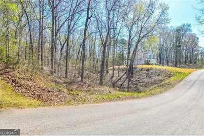 0 Arrow Lane, Lavonia, GA 30553 - Photo 4