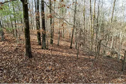 533 Marque Lane NE, Ranger, GA 30734 - Photo 4