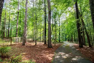 5357 Hwy 81, Loganville, GA 30052 - Photo 38