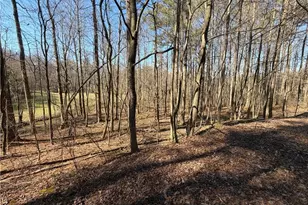 522 Bible Baptist Rd, Ellijay, GA 30536 - Photo 16