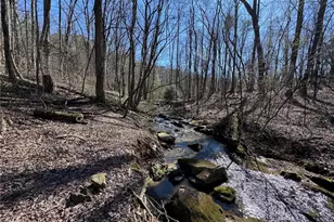 522 Bible Baptist Rd, Ellijay, GA 30536 - Photo 24