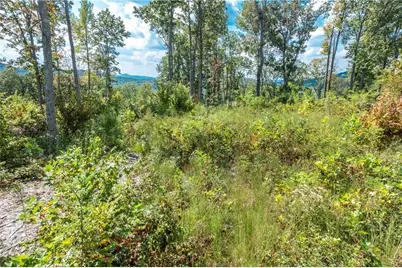 279 Highgrove Drive, Talking Rock, GA 30175 - Photo 18