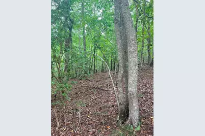 7620 Maple Place, Murrayville, GA 30564 - Photo 4