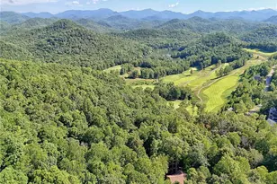 876 Whitetail Trl, Clayton, GA 30525 - Photo 86