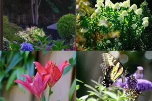 10600 Grandview Sq, Johns Creek, GA 30097 - Photo 78