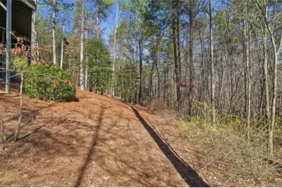 131 Sycamore Trail, Big Canoe, GA 30143 - Photo 44