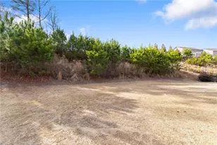 6667 Rivergreen Rd, Flowery Branch, GA 30542 - Photo 40