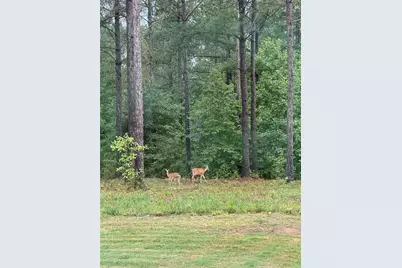 1270 McGarity Road, Temple, GA 30179 - Photo 54