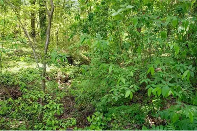 2471 52 Highway, Chatsworth, GA 30705 - Photo 22