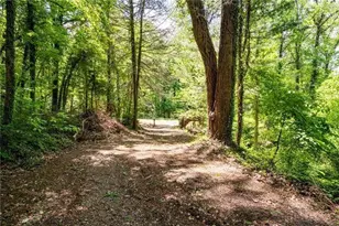 2471 52 Hwy, Chatsworth, GA 30705 - Photo 26