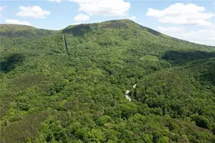 2471 52 Hwy, Chatsworth, GA 30705 - Photo 10