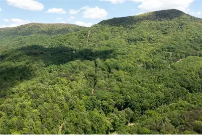 2471 52 Highway, Chatsworth, GA 30705 - Photo 8