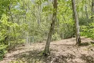 125 Autumn Ln, Blairsville, GA 30512 - Photo 42