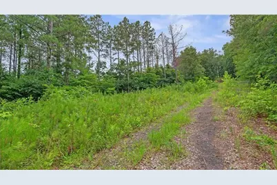 1845 Tibbitts Road, Dallas, GA 30132 - Photo 14