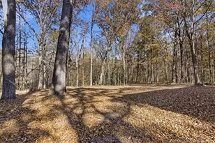 214 Bruce Rd, Douglasville, GA 30134 - Photo 38