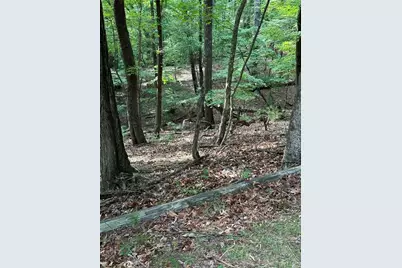 1225 Oglethorpe Road, Jasper, GA 30143 - Photo 4