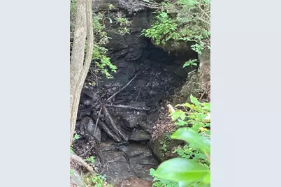 1225 Oglethorpe Road, Jasper, GA 30143 - Photo 20