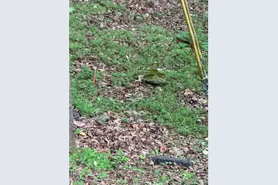 1225 Oglethorpe Road, Jasper, GA 30143 - Photo 34