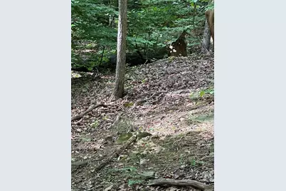 1225 Oglethorpe Road, Jasper, GA 30143 - Photo 22