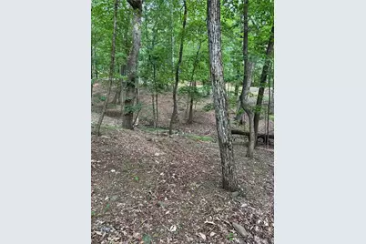 1225 Oglethorpe Road, Jasper, GA 30143 - Photo 16