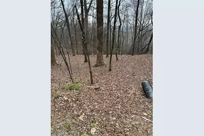 1225 Oglethorpe Road, Jasper, GA 30143 - Photo 6