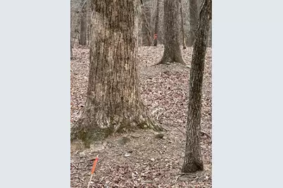 1225 Oglethorpe Road, Jasper, GA 30143 - Photo 10