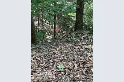 1225 Oglethorpe Road, Jasper, GA 30143 - Photo 24